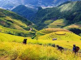 Sapa Homestay Tours Photos